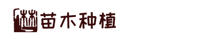 凯时最新首页