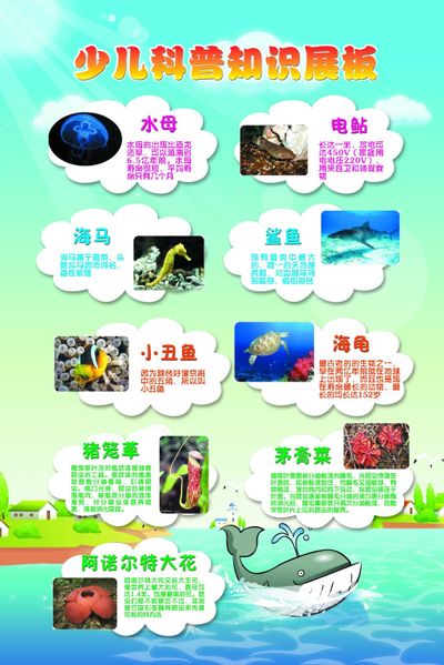 现场答疑解惑丽水市无线电管理局送科普知识进社区
